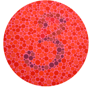 Ishihara Plate 10