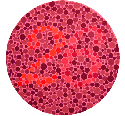 Ishihara Plate 6