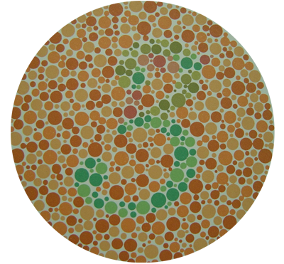 Ishihara Plate 9